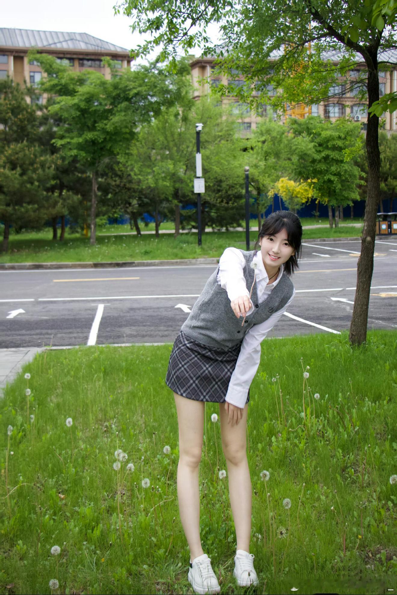 蒲公英 