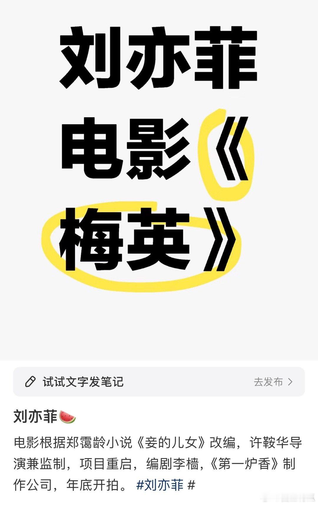 刘亦菲的电影🫓，许鞍华导演，好起来了[并不简单] ​​​