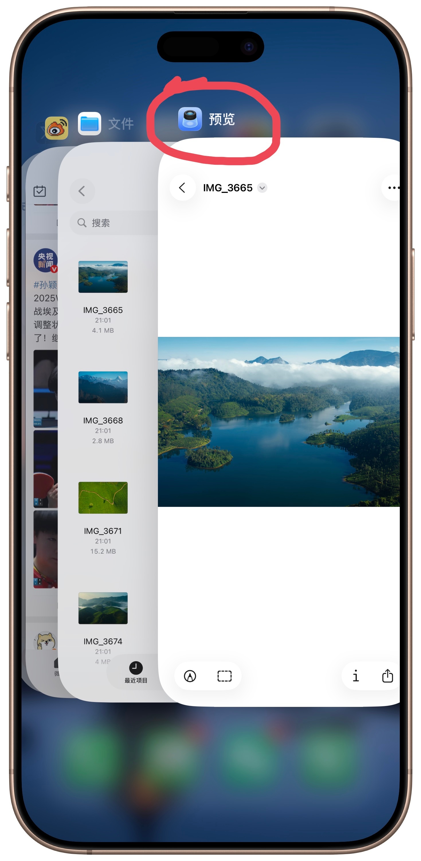 苹果 iOS 26 新增的预览，纯脑残 App，还把文件 App 图片默认打开方