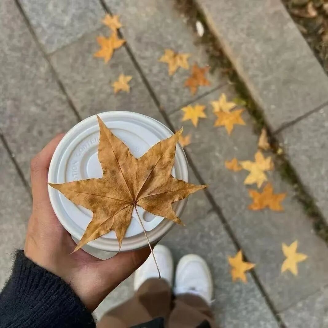 那就留在我身边 饥饿时给你煮碗面 疲惫时我们共享一根烟 ​​​