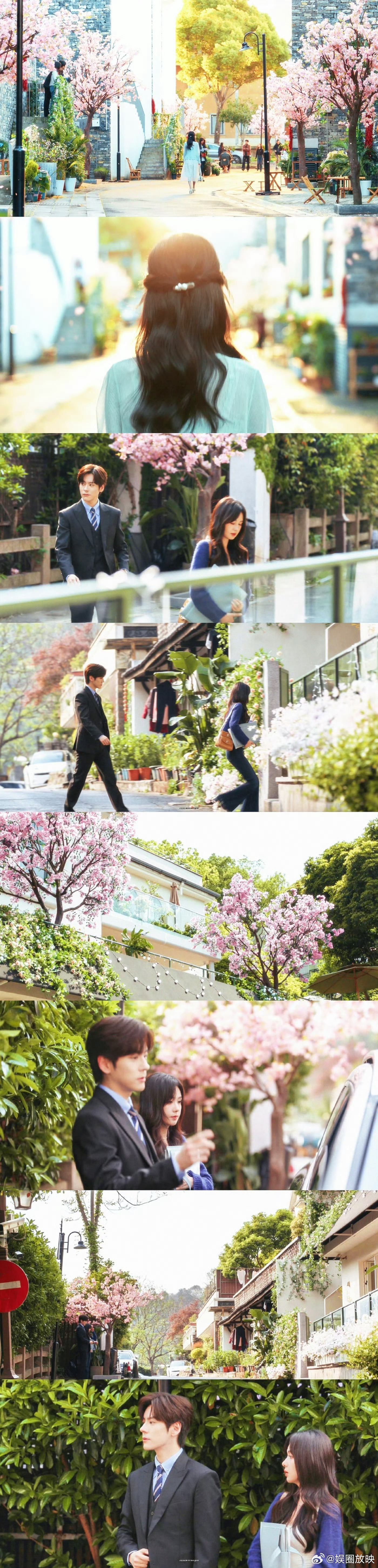 浙江文旅喊话魏哲鸣郑合惠子 浙江文旅这波操作太会了！捧着《你是迟来的欢喜》满世界