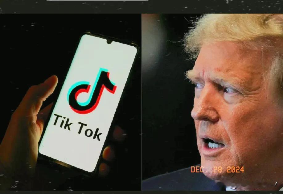 唐纳德·特朗普要求最高法院推迟禁止TikTok(海外版抖音)。特朗普团队辩称，只