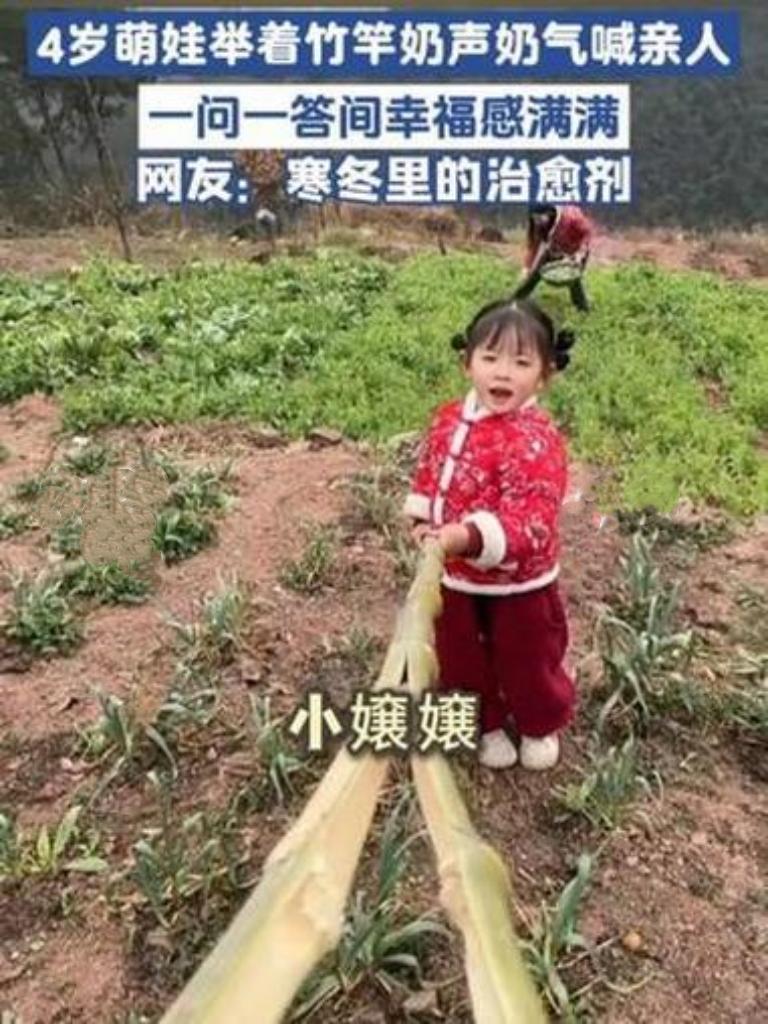 4岁萌娃手举竹竿，奶声奶气喊亲人回家吃饭，那小模样认真又可爱，温馨画面暖化众人。