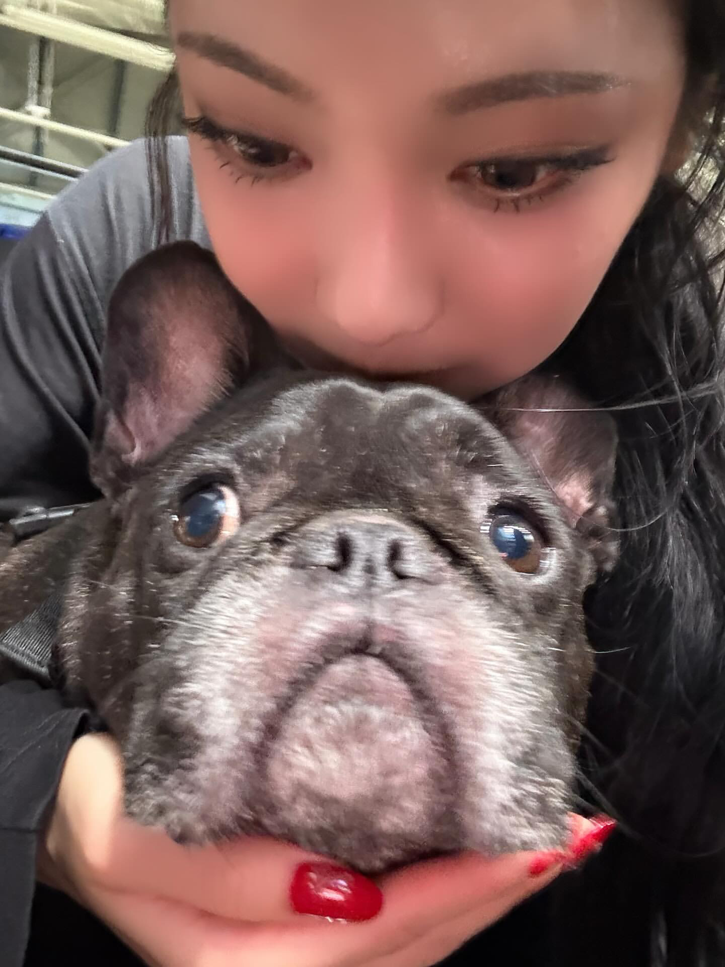 我的ydl你们在哪里里 