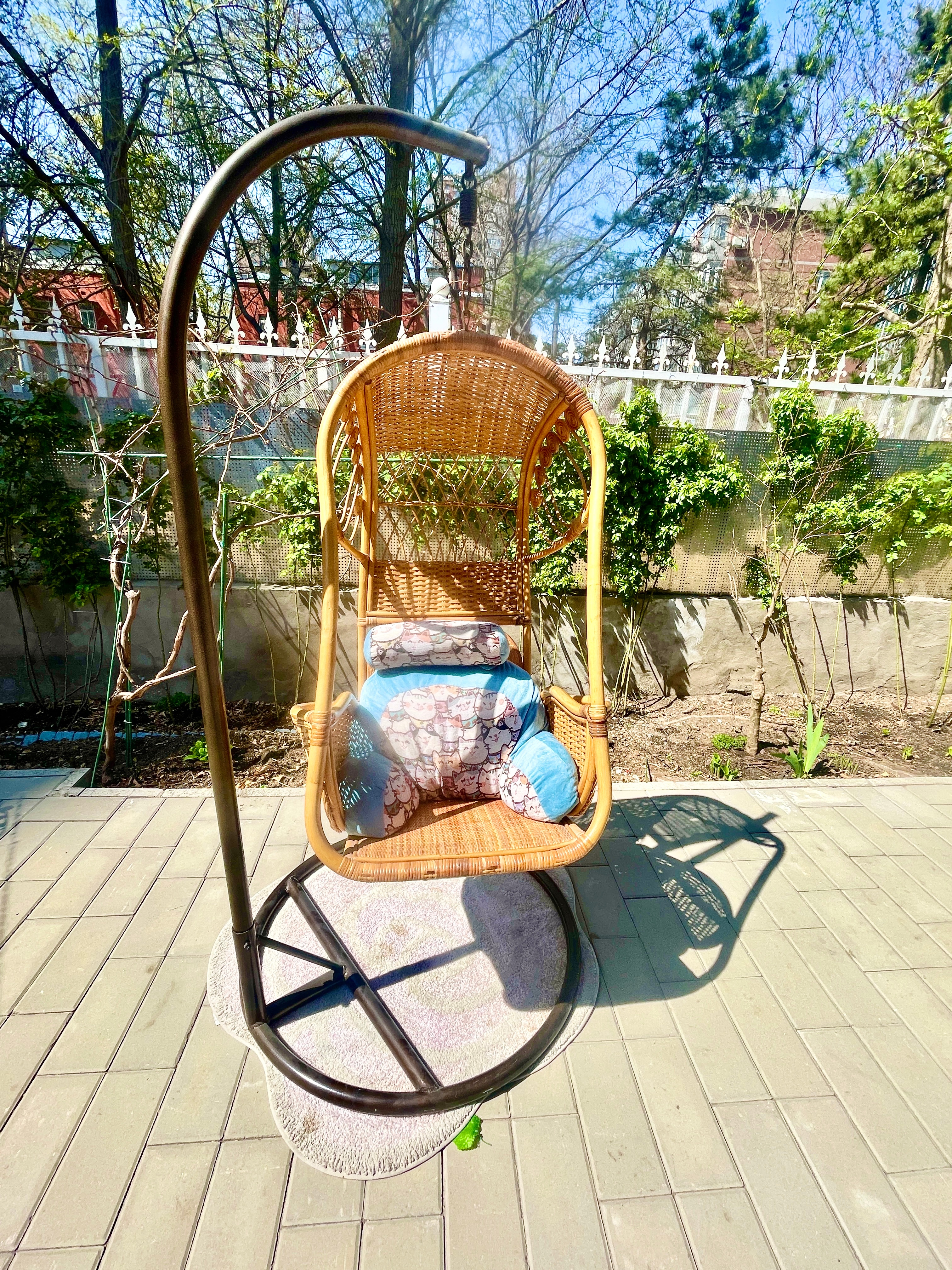 这么好的天气，不晒太阳就浪费了网页链接