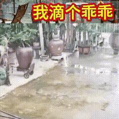 这意外转折很惊喜呢😎