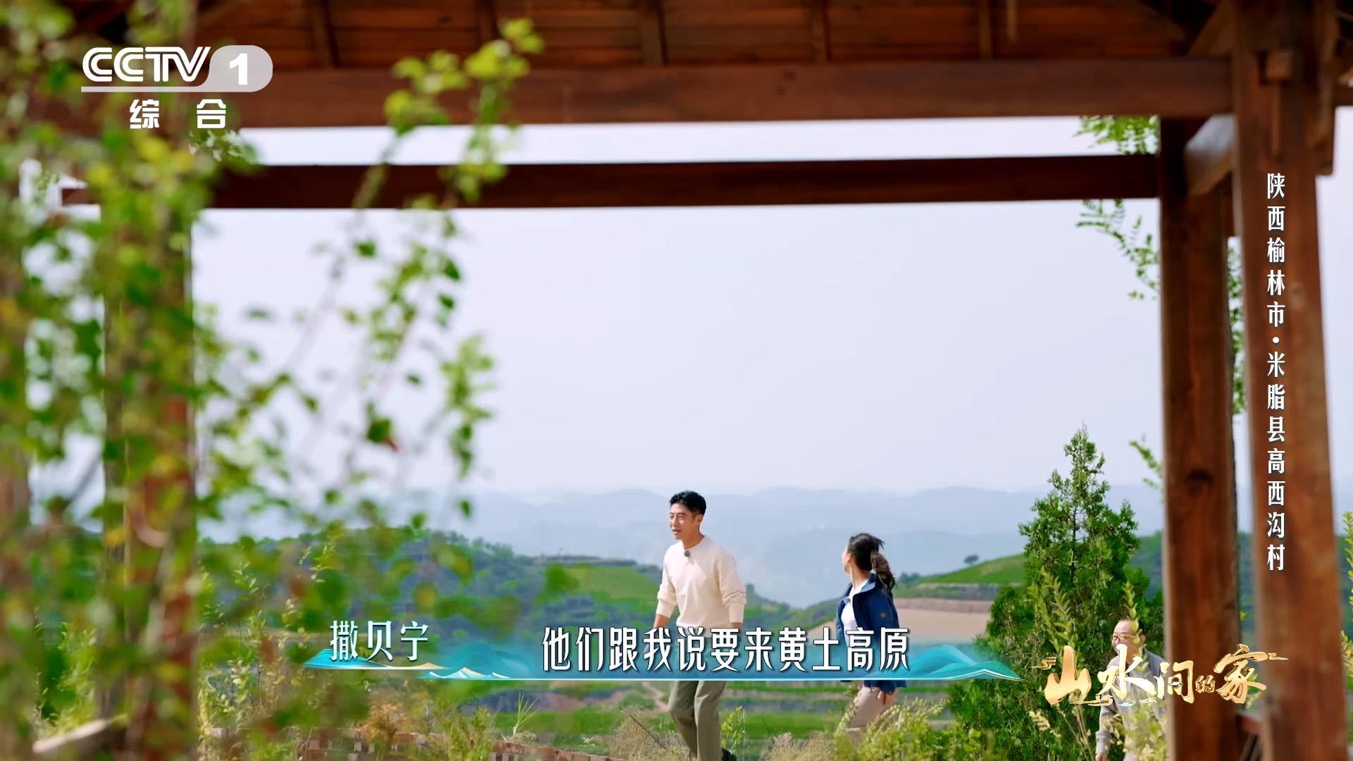 黄土高原变绿了不敢信黄土高原变绿啦！那层层叠叠的绿，恰似抹茶千层，馋得人直流口水