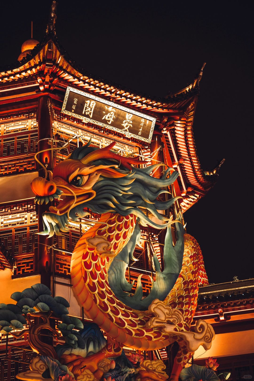 豫园鲨疯了‼️提龙灯 领取一整年的幸运🍀