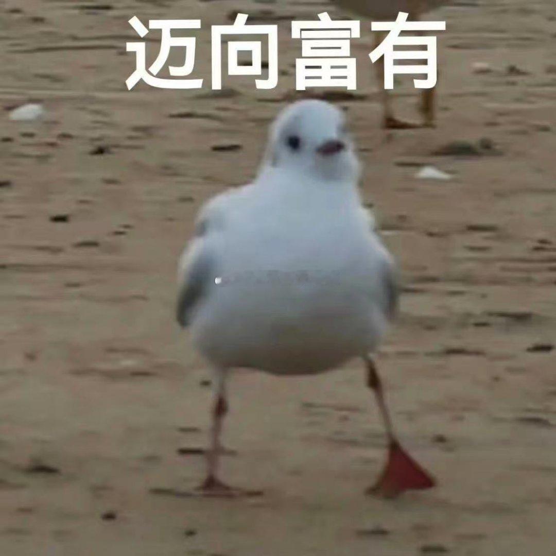 如果人生有圈套我希望是省钱四件套朋友前两天还在跟我打赌说我攒不住钱，实则我已经完