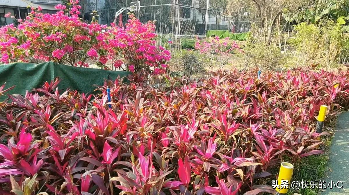 说实话，我觉得这问题没那么绝对。

以前我特信奉“万事靠自己”，觉得求人特没面子