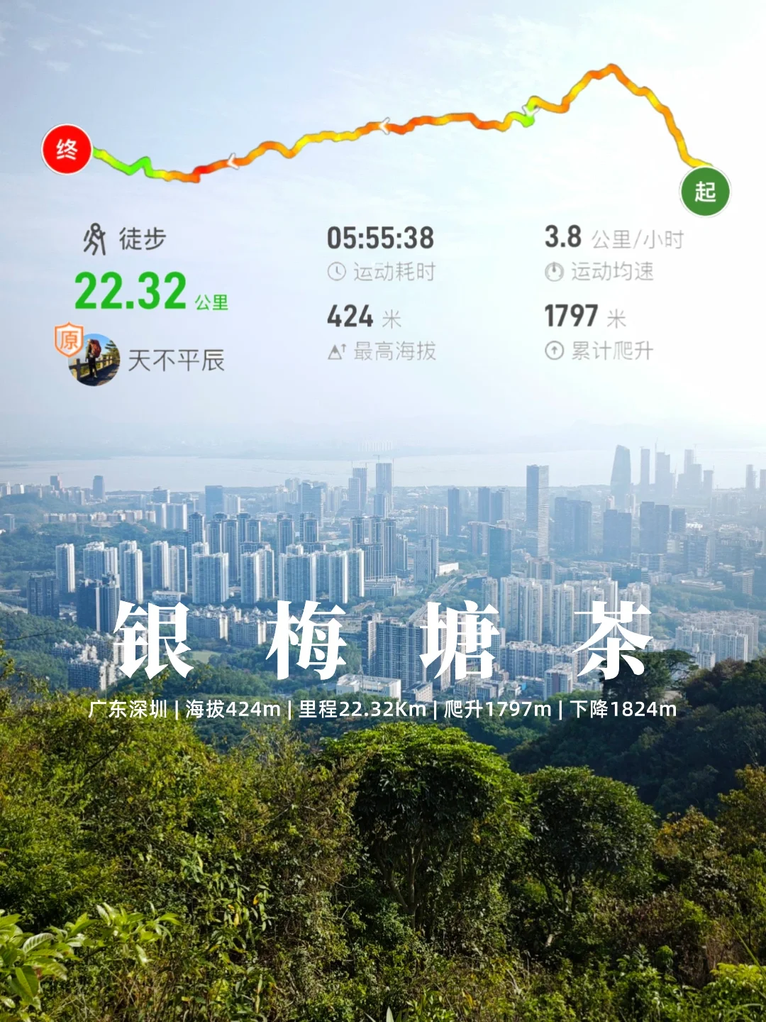 银梅塘茶——城市的天际线，三水线的试炼场