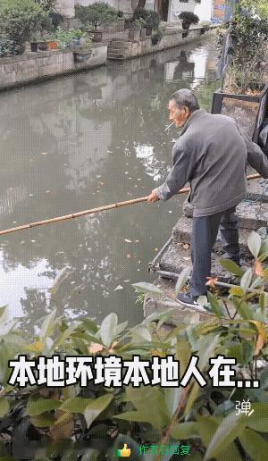 小白条也值得用鱼叉，问题是他竟然还叉到了！[憨笑]