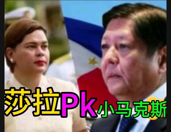 1. 行政：总统是国家元首、政府首脑兼三军统帅，全民直选，任期6年不得连任；副总