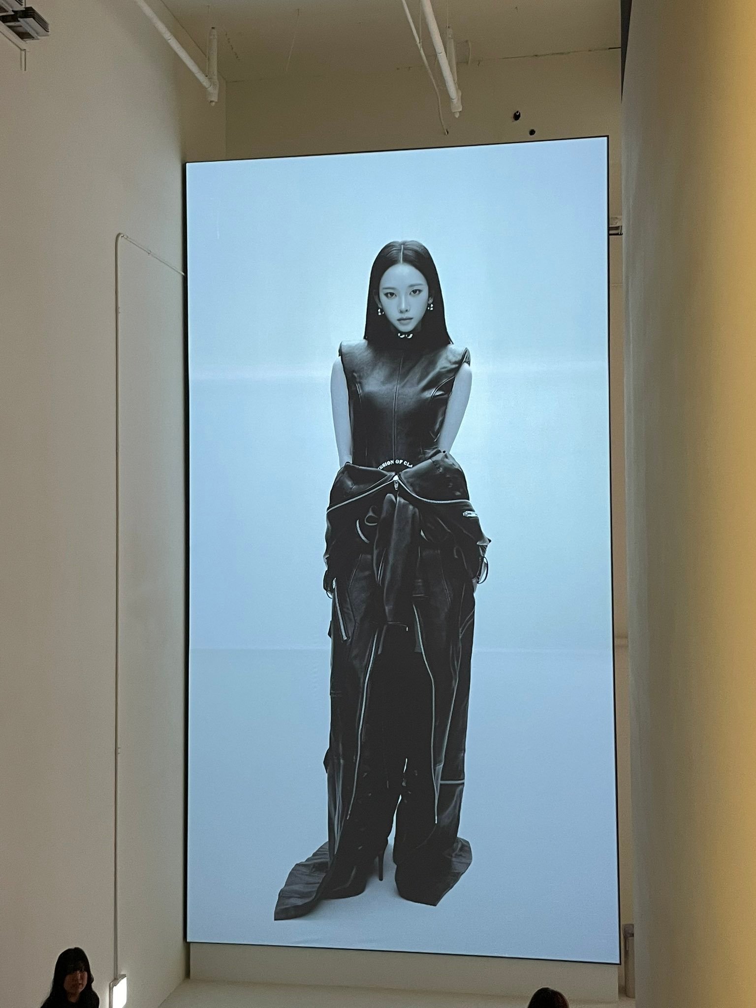 d社展览上展出的这幅画是柳智敏画的柳智敏  | D社KPOP展公开无PS合照 ​