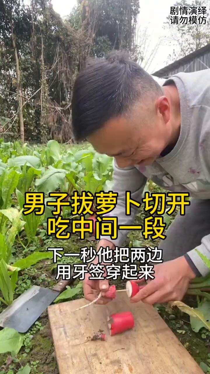 男子拔萝卜切开吃中间一段，下一秒他把两边用牙签穿起来。
男子来到菜园拔了一颗萝卜