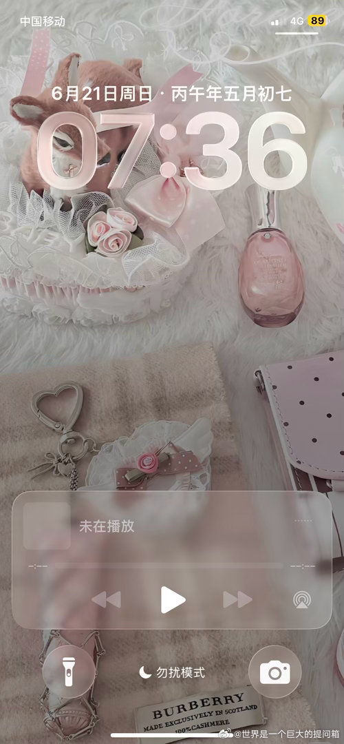 这个到底怎么删掉真的好难受明明什么都没有播放还一直待在主页 已经尝试过的有打开一