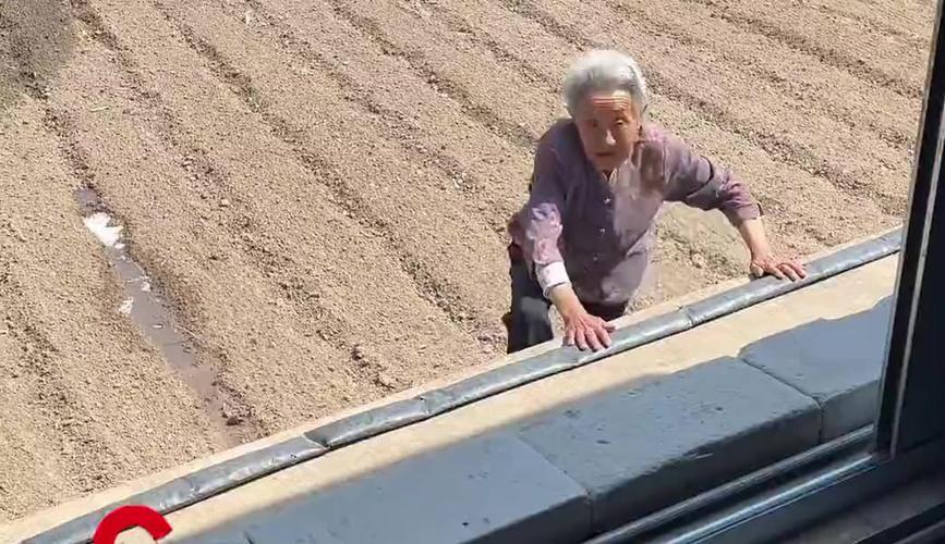 辽宁 90 岁姥姥的 