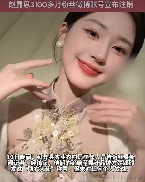 赵露思，一个敢跟娱乐圈资本硬刚到底的女明星，一个美丽大方的四川女娃，我们必须力挺