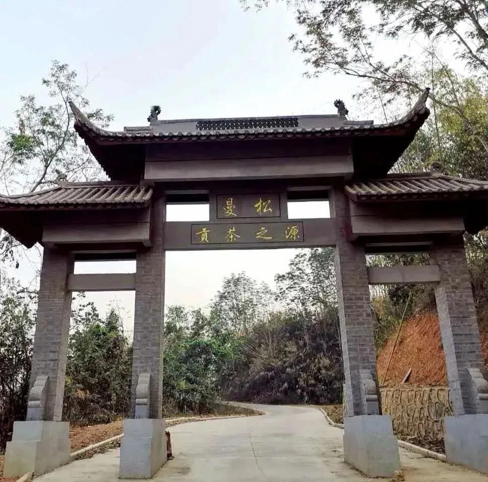 曼松茶2026年春
除了“岩韵”之外，还要具备“森林感”表现为纯净感和清凉感。