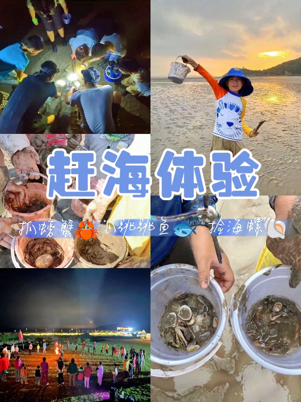 浙江赶海天花板！到处都是海螺跳跳鱼小螃蟹