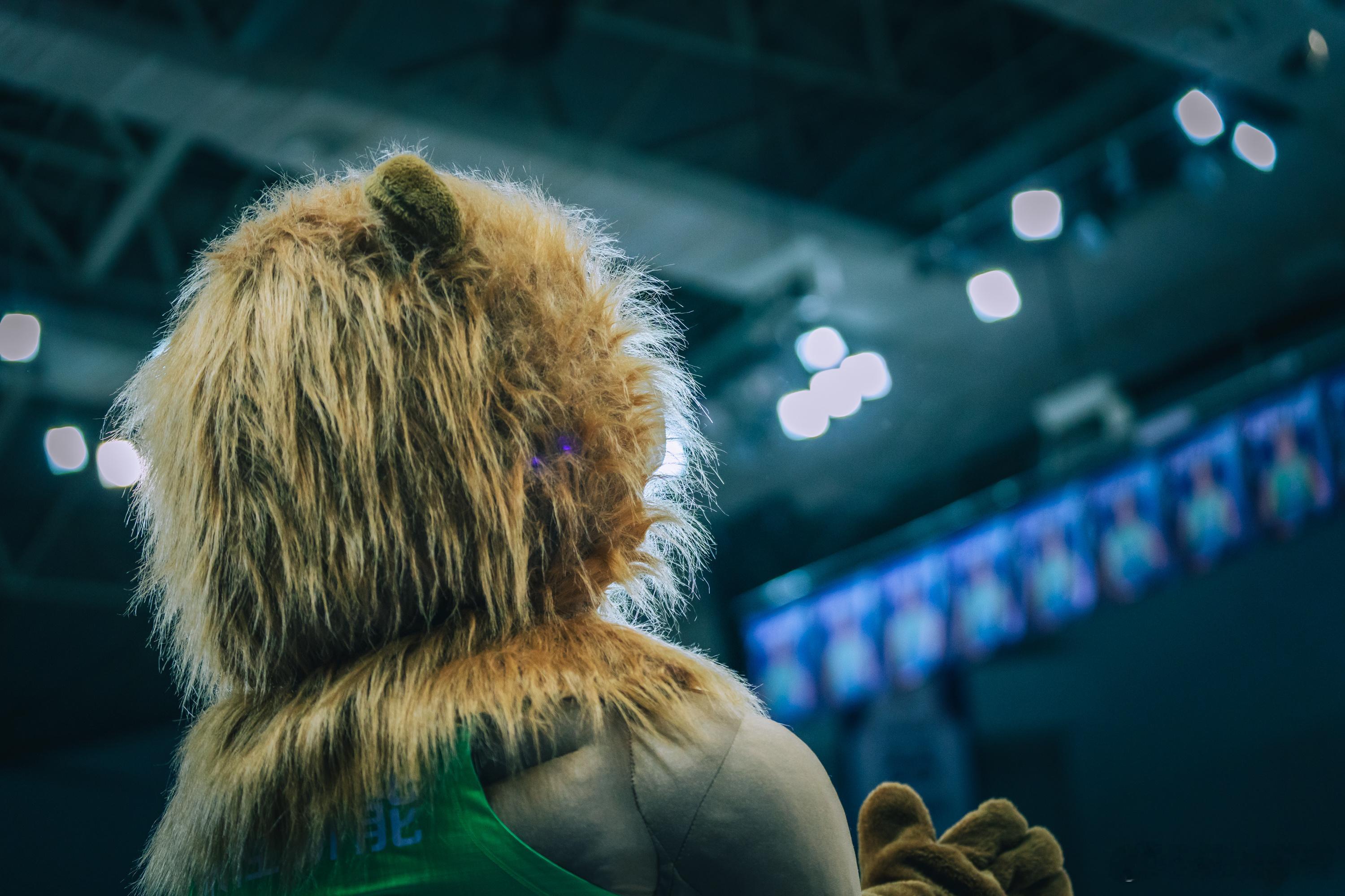 📸Via：Suke 🏟️Mark：东丽体育中心📅Date：2025.12.