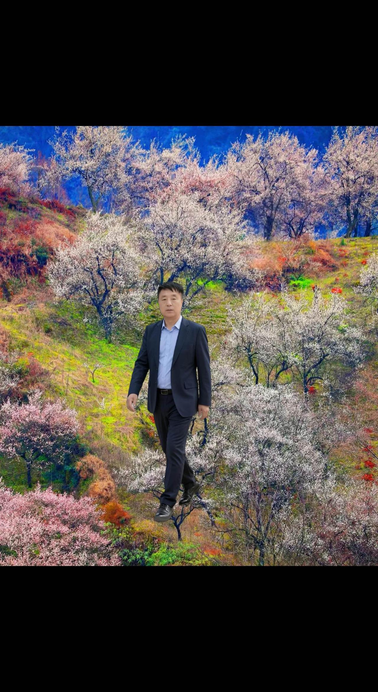 我向春风许下了愿。请欣赏聆听一一