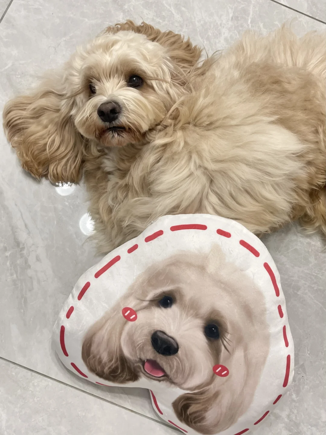 “麻麻 他是我，那我是谁？”