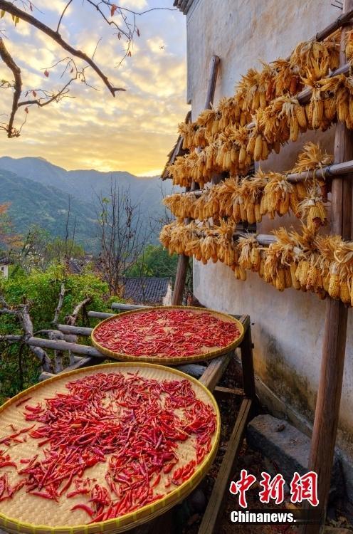 一位网友这样排名春晚节目，我真的不敢恭维：第一个我就给他推翻了，王菲的演唱不可能