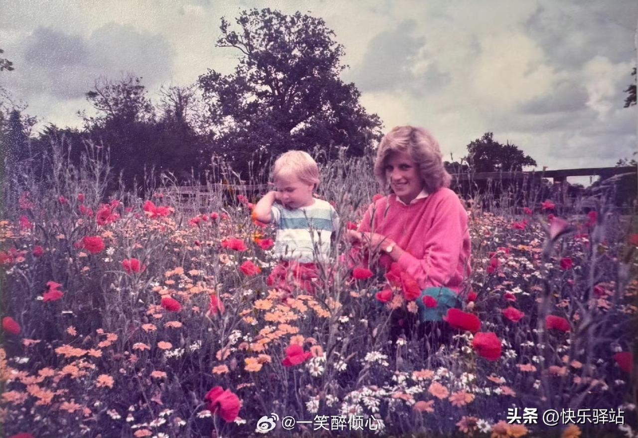 今天是英国母亲节，威廉王储难得发文纪念他已故的母亲戴安娜王妃：Rememberi