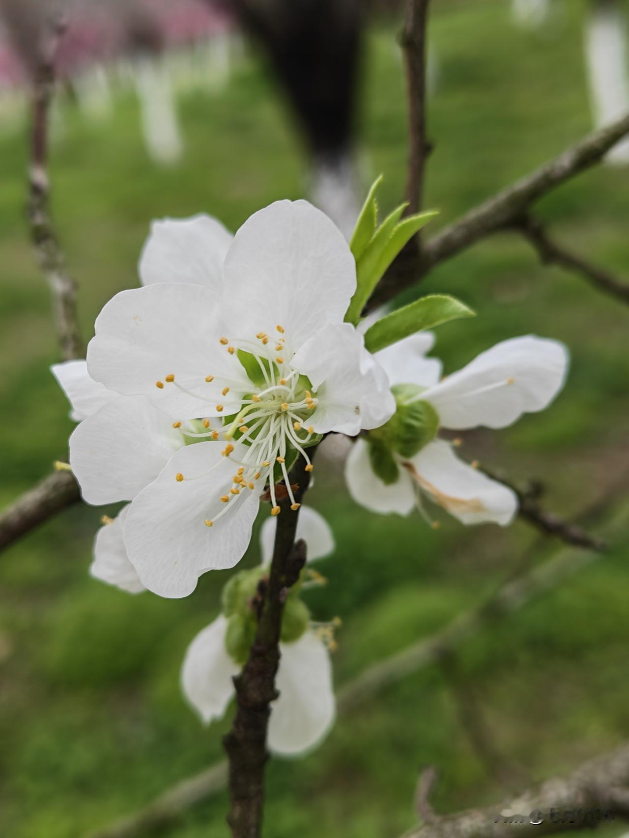 金钱或许能换来更好的医疗、更舒适的病房，但换不回被透支的健康，也量不出生命的长短