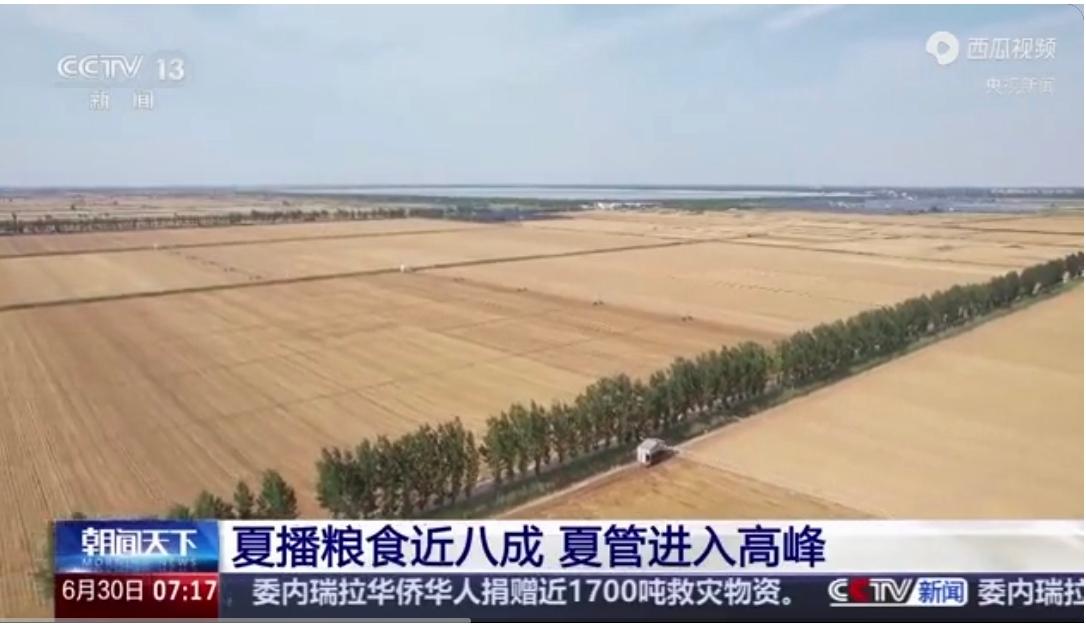 这篇报道反映了当前我国农业生产的关键阶段。夏播和夏管是秋粮丰收的基础，各地通过抢