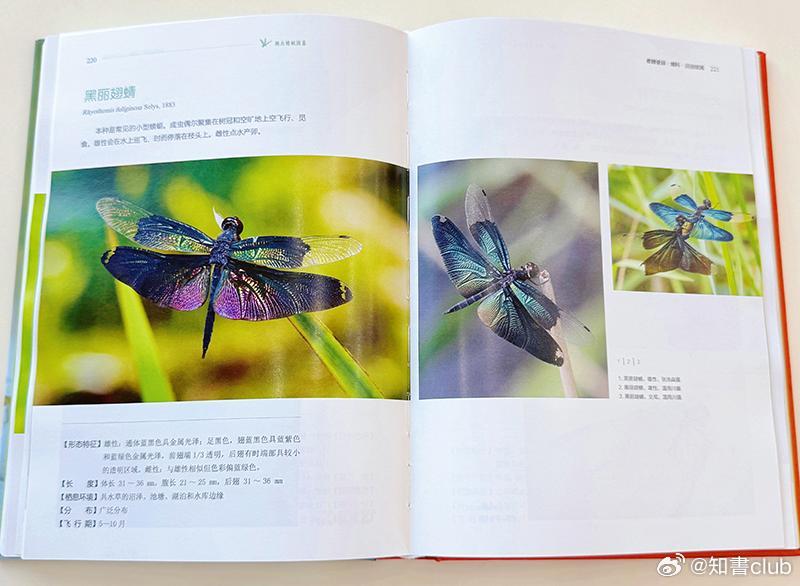 知書club 新书介绍丨这是一部全面介绍湖北蜻蜓目昆虫的图鉴，湖北已统计蜻蜓种类