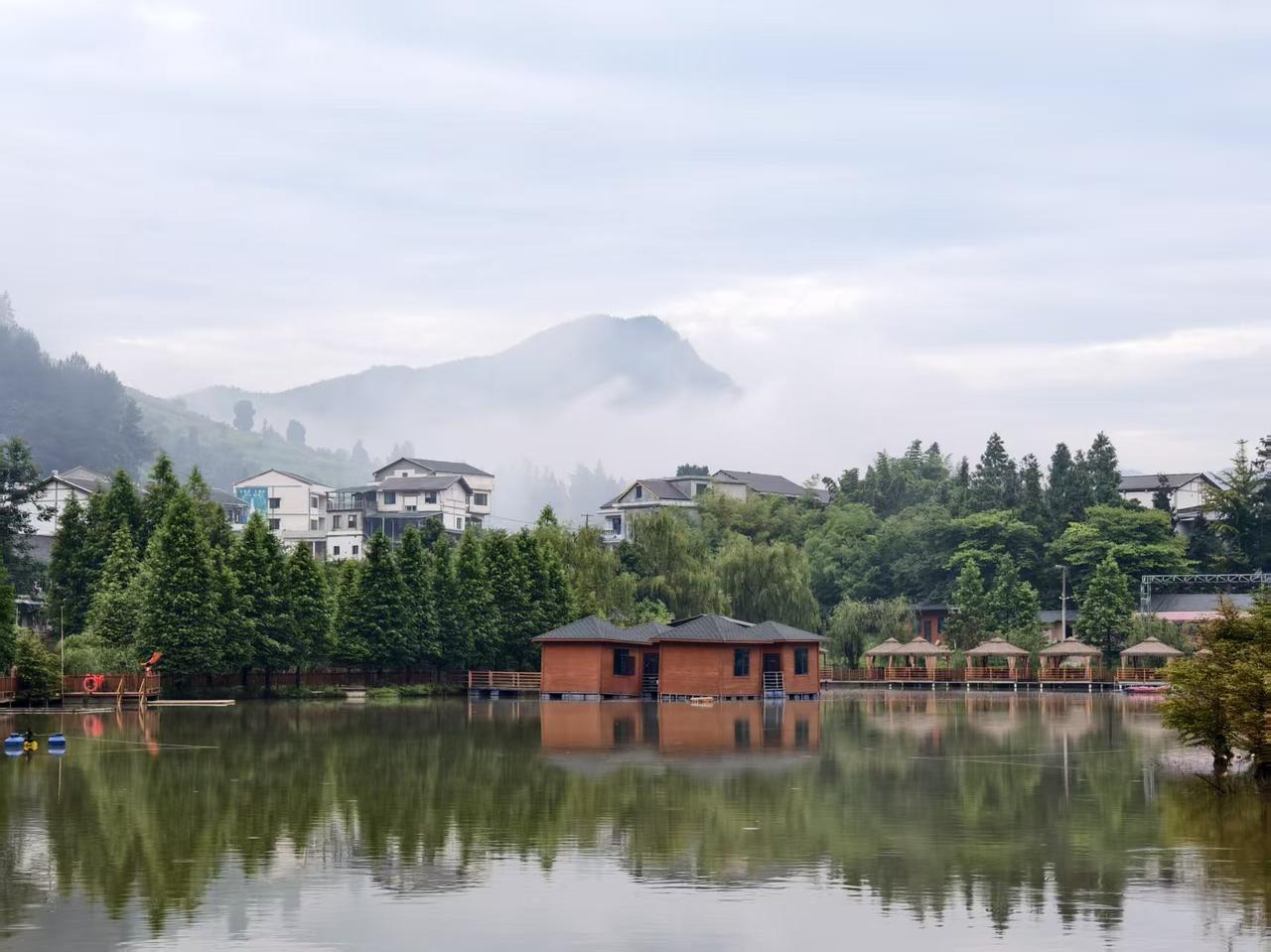 夏日生活打卡季贵州桐梓九坝镇有个湿地公园，它就在小令坝，湿地不大，椭圆形状，环湖