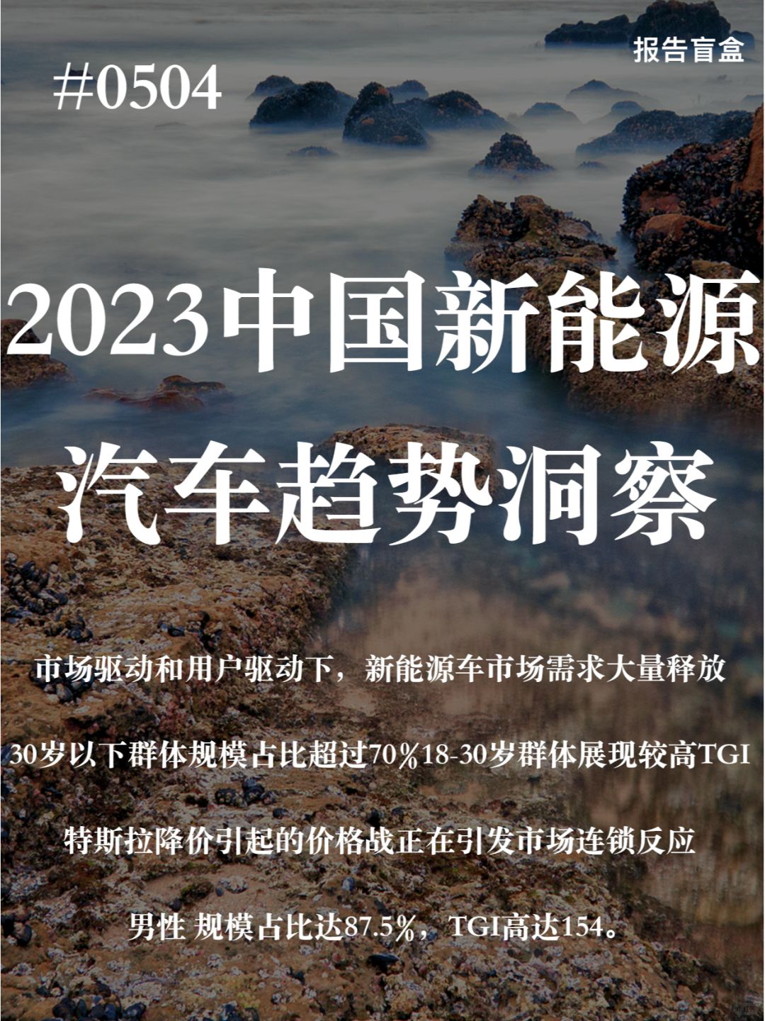 | 2023中国新能源汽车趋势洞察白皮书