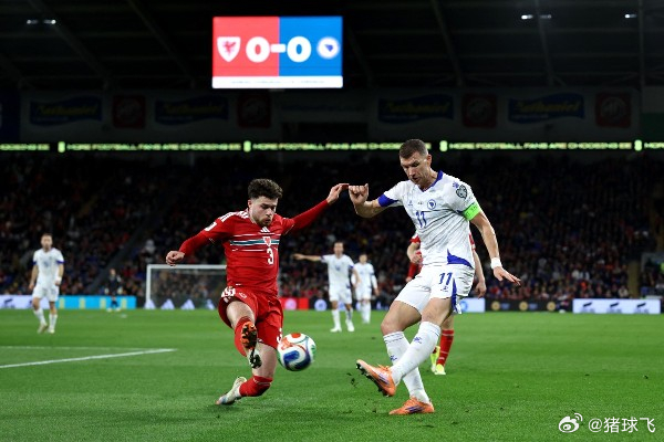 鱼腩也有大智慧！圣马力诺主帅爆波黑“软肋”：又慢又单调作为意大利的邻国，圣马力诺