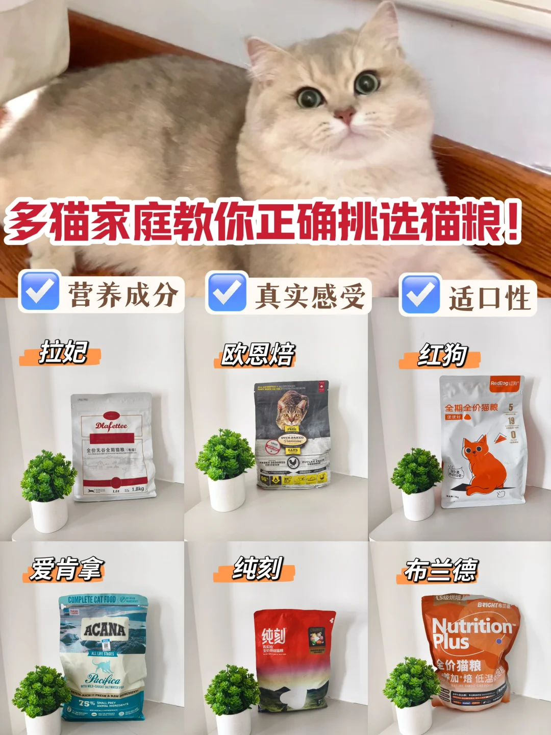 跪地整理！选猫粮分享让你变选粮高手！