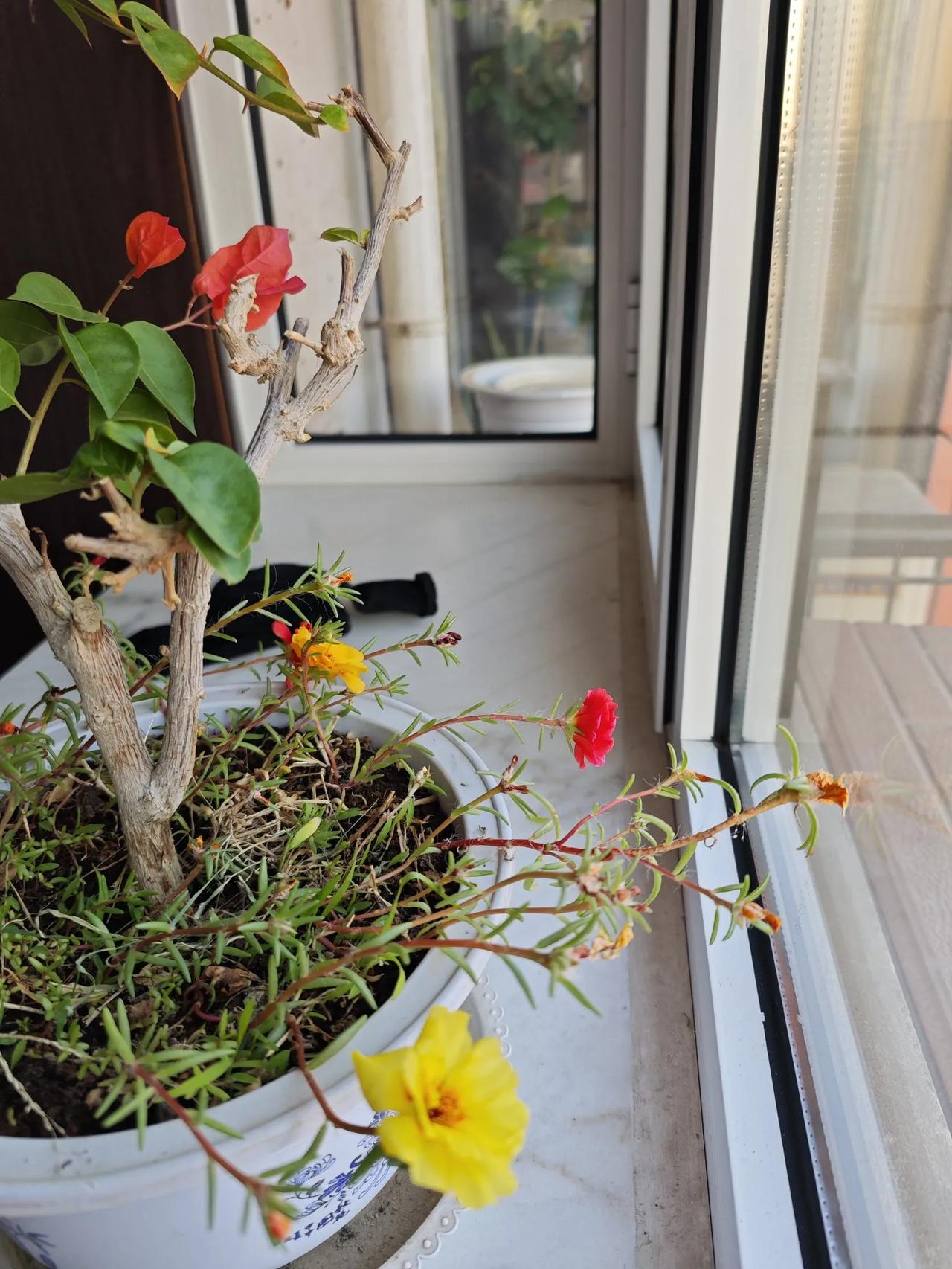 基金、股市、保险、金融，欣欣向荣，又到了种韭菜的好时节！[呲牙]
工业农业是基础