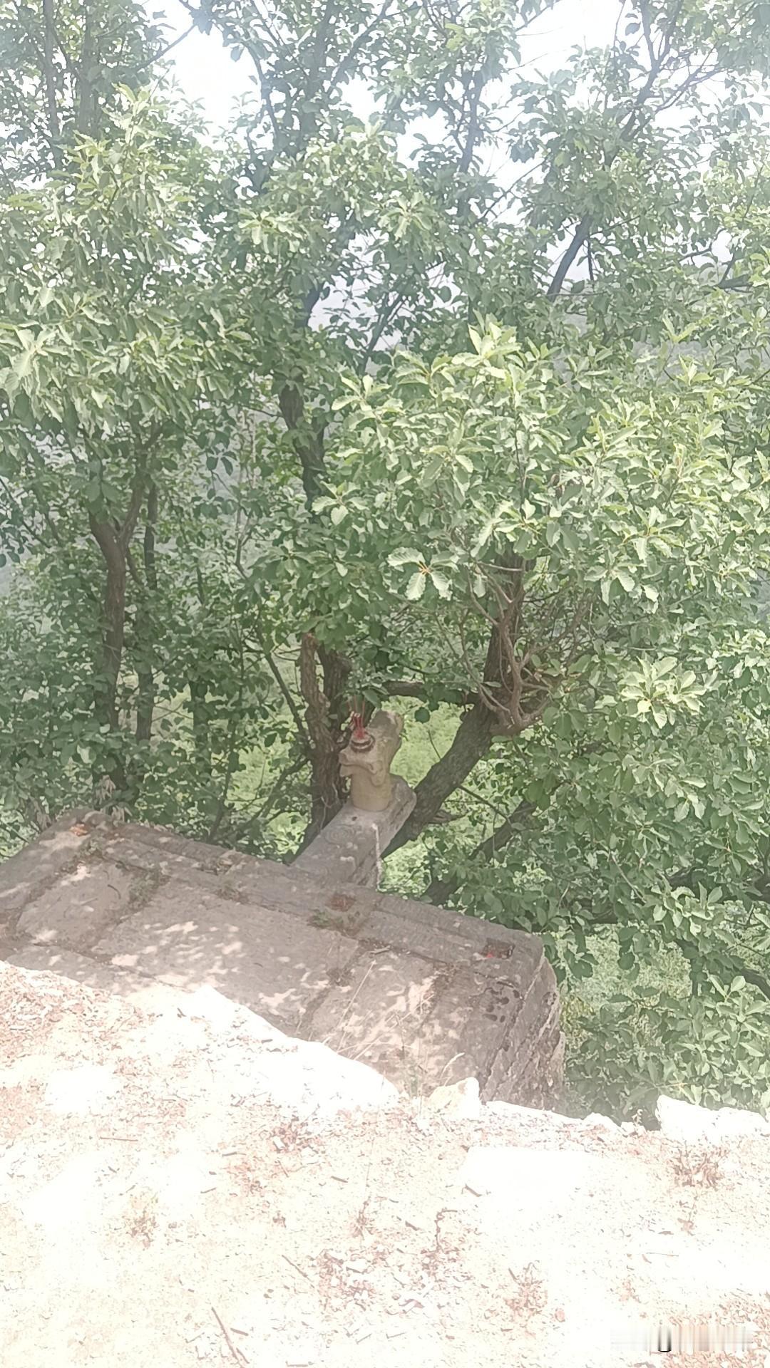 人这一生，其实怎么过都是一样的。

不论是喜欢什么，追求什么，那种感觉都是一样的