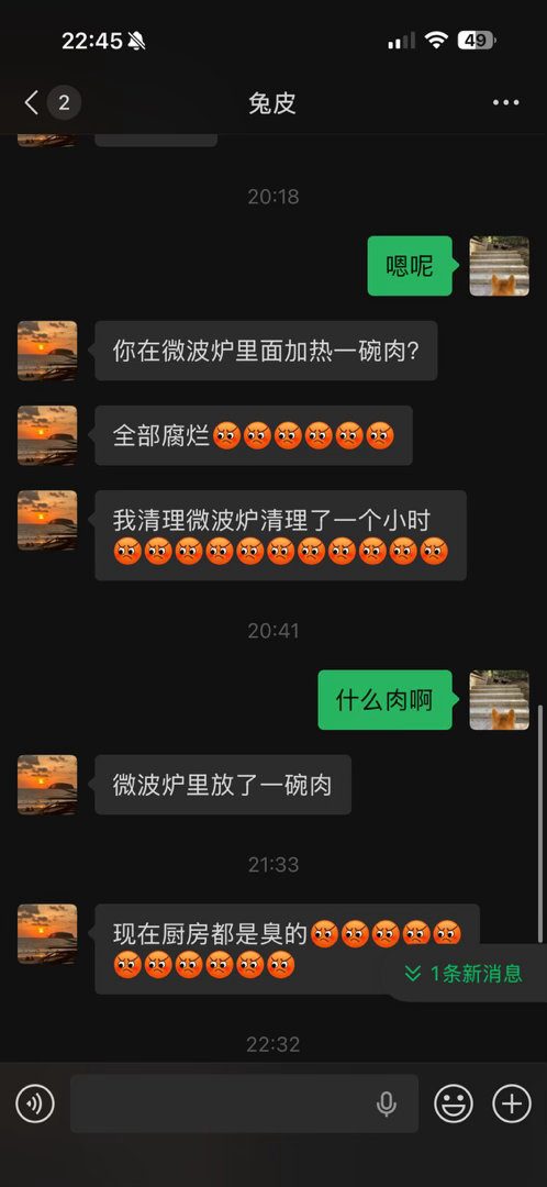 老酱说我在微波炉里放了一碗肉都腐烂了，但是我完完全全不记得是什么肉，我什么时候放