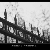 橙琪爱玩