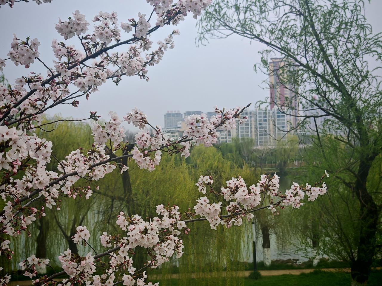 阜阳市泉河坝子的建设真的太让人眼前一亮了！就拿它的外观来说，整体设计时尚又大气，
