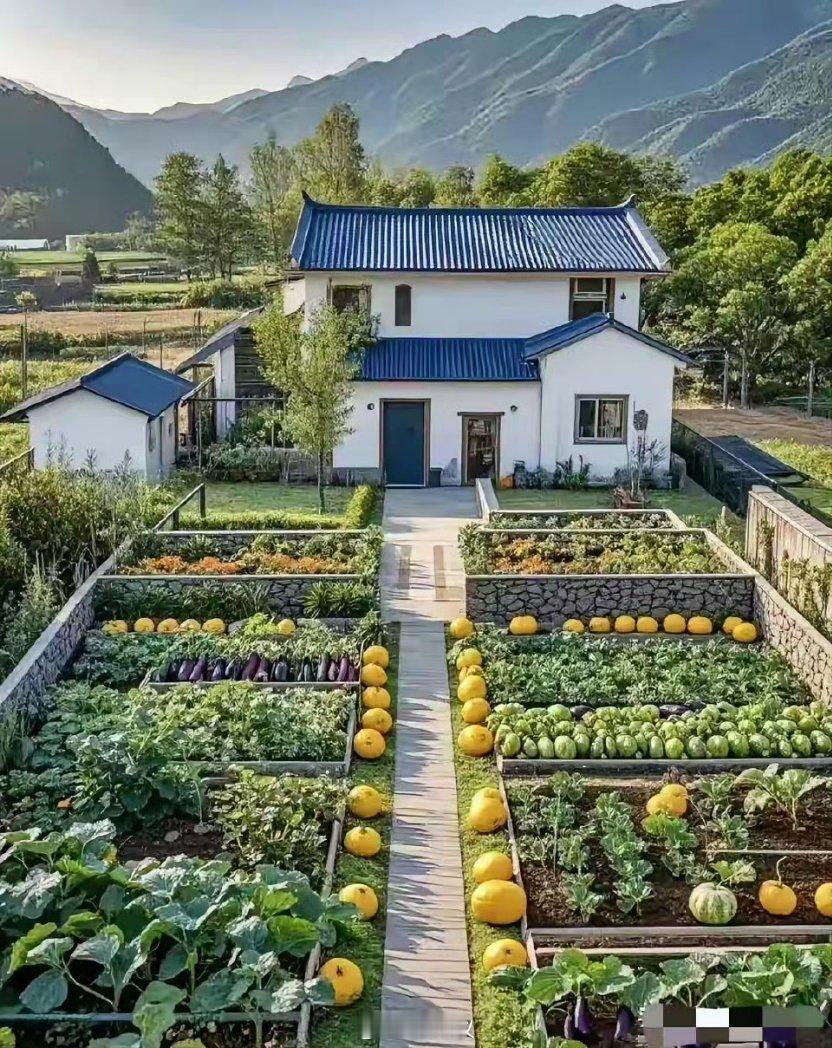 这是你羡慕的生活吗？ 