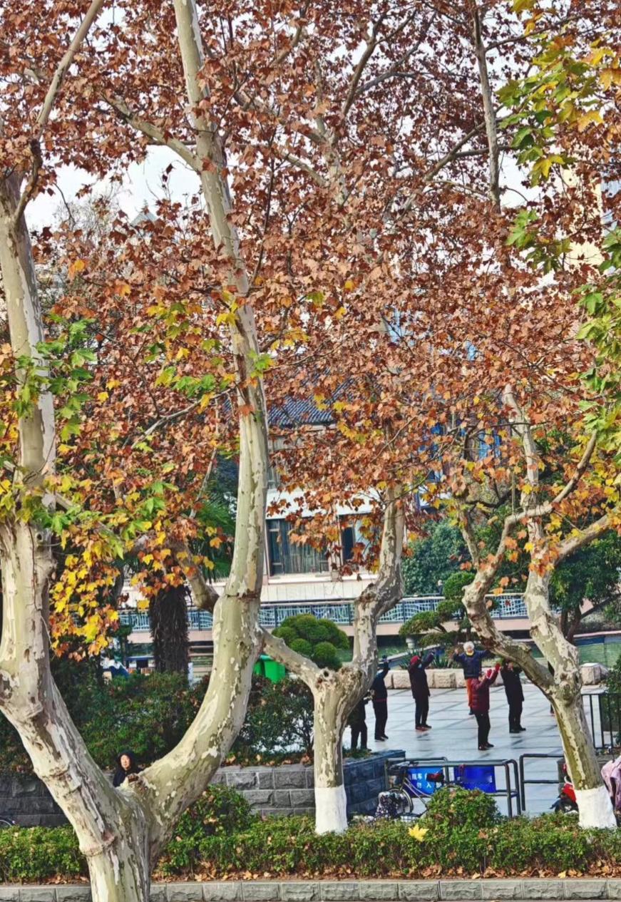 前几天刷到个老同学的朋友圈，说自己熬了大半年拿下一个百万大单，转头就因为急性胃炎