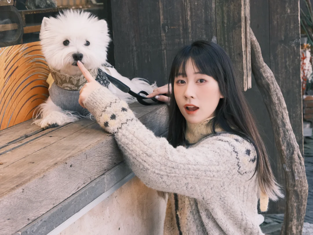 oi！在和小狗逛古街📸想和你交换春天❛‿˂̵✧