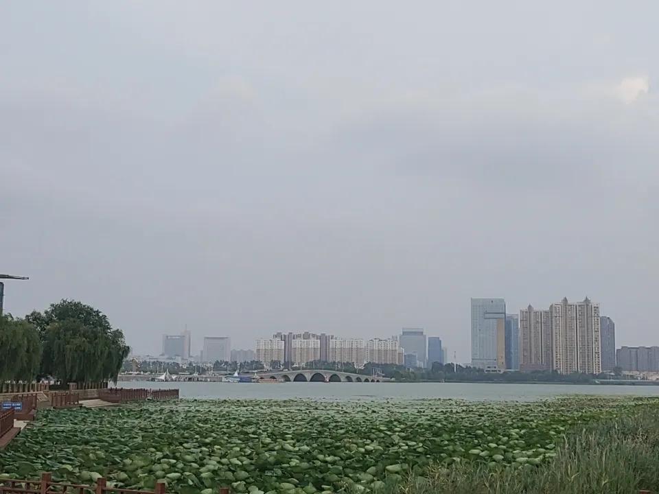 分享一下你随手拍下的照片