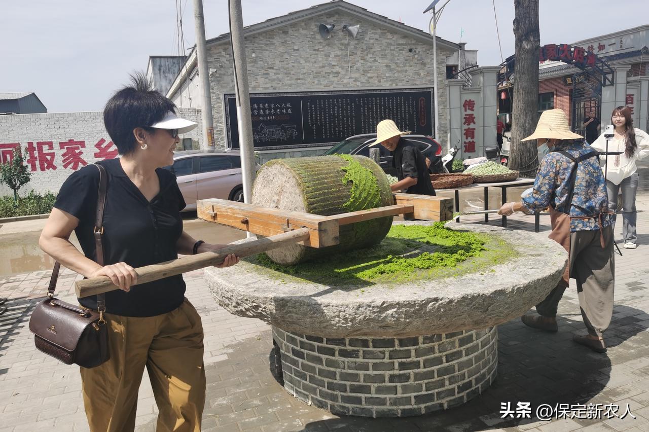 关于公布企业诉求提交渠道的通告 

为贯彻落实全市优化营商环境大会精神，进一步畅