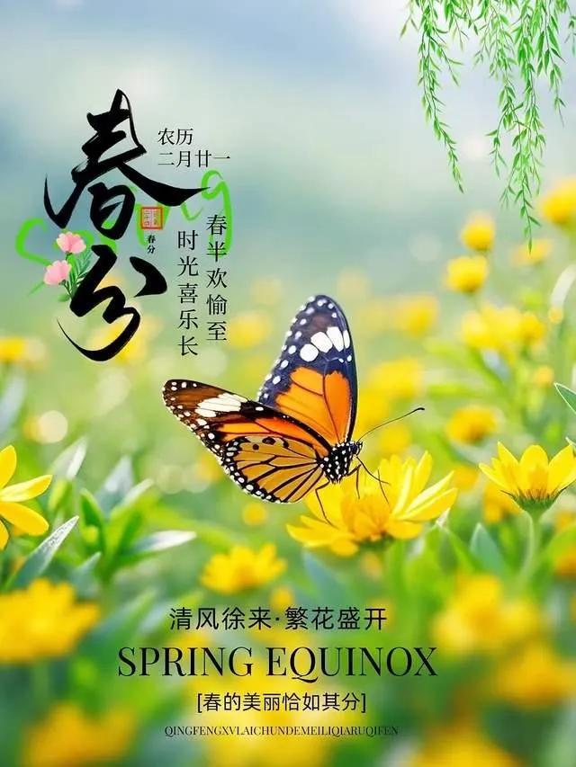 今天是春分。

春色正中分，人间恰良辰。
在这个花红柳绿、草长莺飞的大好时节，沐