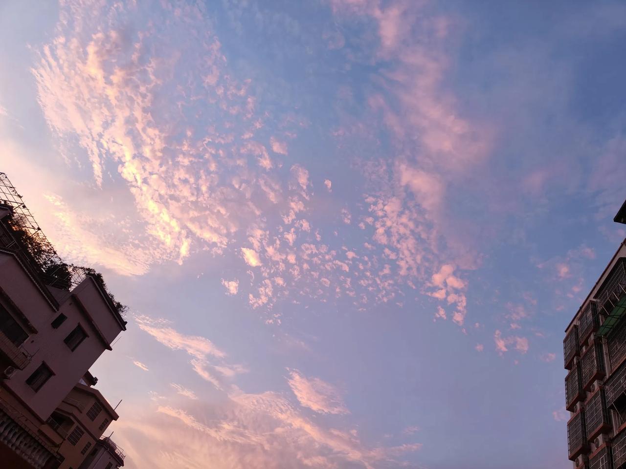 今天看到很漂亮的晚霞，分享给你们！
第48天，今天分享的是《诗经·召南·甘棠》