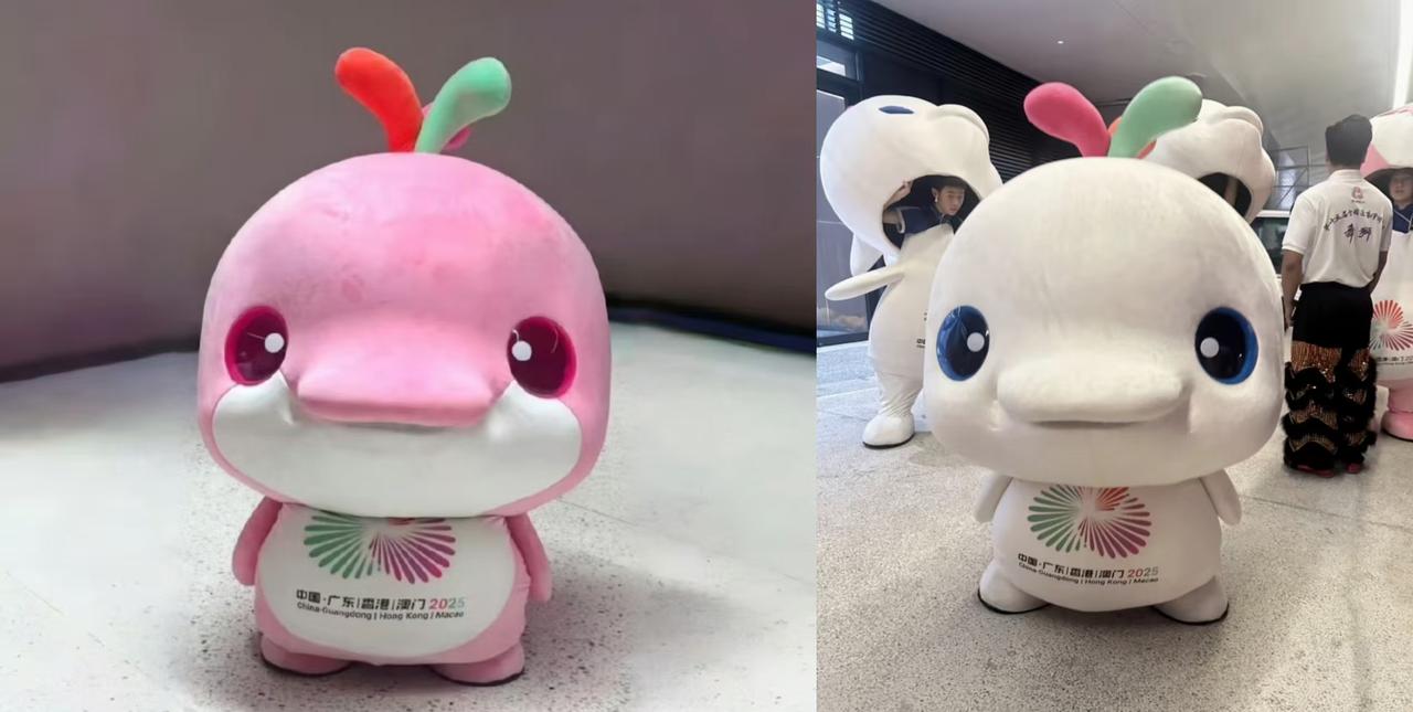 这届全运会我觉得最出圈的是这两只吉祥物”大湾鸡“，
真的太可爱了，尤其是知道了里