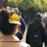 江绮聚聚科技
